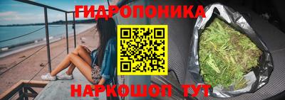 крисы Гусев