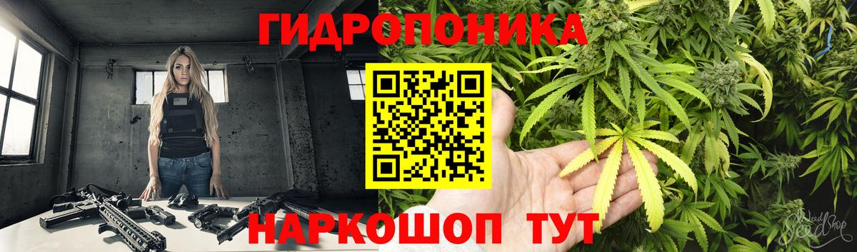 Канабис Bruce Banner  Вход с VPN  Назарово  Конопля OG Kush 